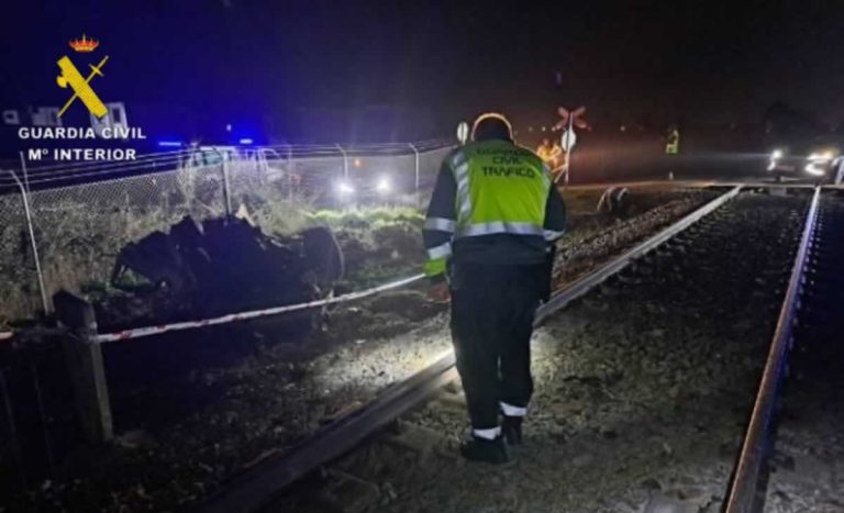La Guardia Civil investiga la muerte de un hombre de 50 años arrollado por un tren en Talavera