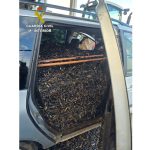 Interceptados 1.350 kilos de aceituna presuntamente hurtada en Las Peralosas-Malagón