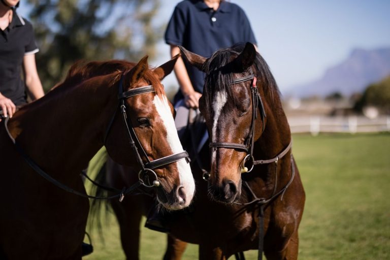 Ocio alternativo: 3 rutas a caballo para disfrutar de los paisajes de Castilla-La Mancha