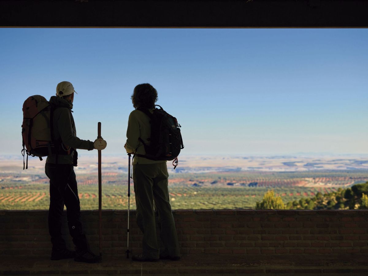 Los 4 grandes recorridos del Camino de Santiago que pasan por Castilla-La Mancha
