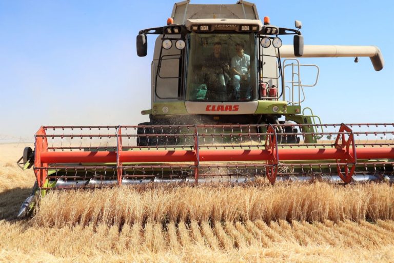 Uno de cada tres puestos agrarios y del hogar en C-LM lo ocupa un migrante