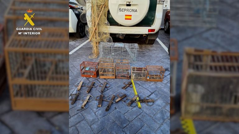 Cazado usando liga y redes prohibidas para atrapar jilgueros en Talavera de la Reina