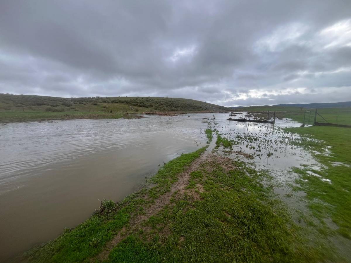 ASAJA Ciudad Real denuncia el impacto “muy grave” de las lluvias y el viento en el campo provincial