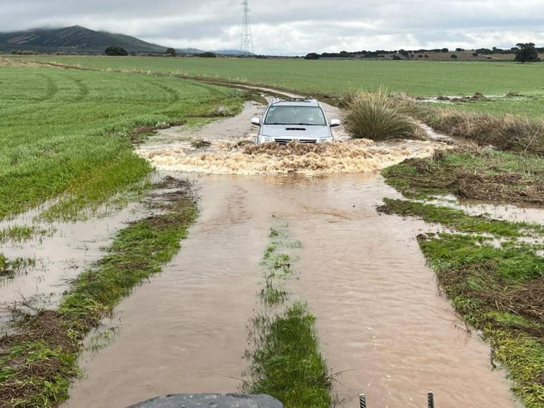 ASAJA Ciudad Real denuncia el impacto “muy grave” de las lluvias y el viento en el campo provincial