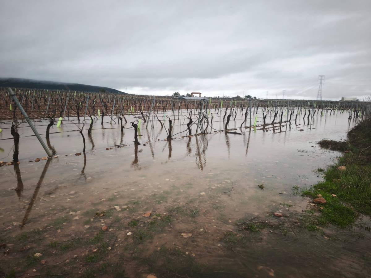 ASAJA Ciudad Real denuncia el impacto “muy grave” de las lluvias y el viento en el campo provincial