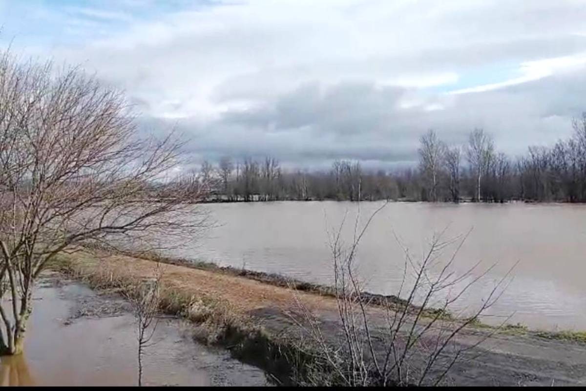 El desbordamiento de varios arroyos y ríos provoca cortes de carreteras y alertas preventivas en Castilla-La Mancha