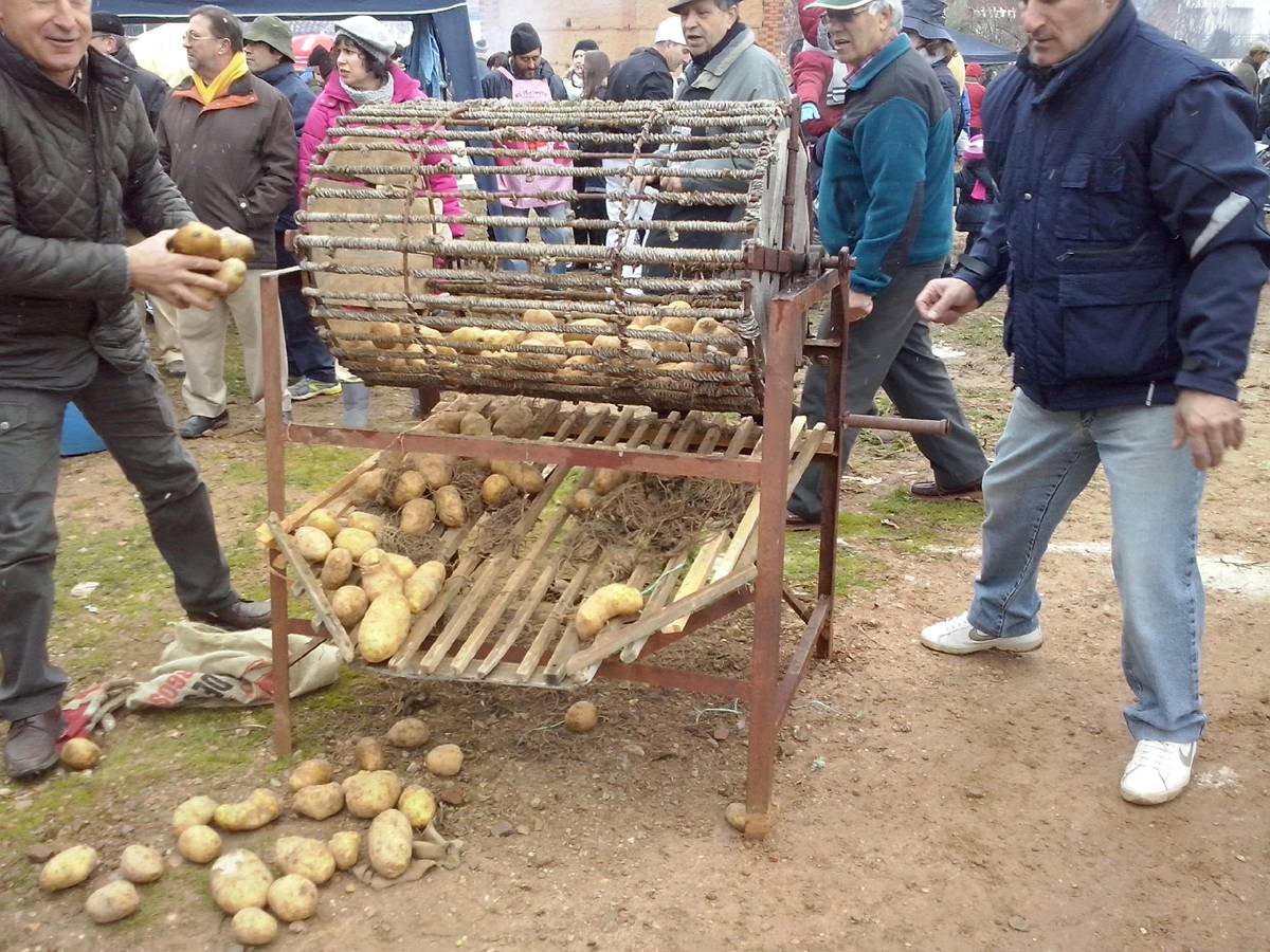 Culto a la gastronomía: el municipio de Guadalajara que dedica una fiesta a la patata