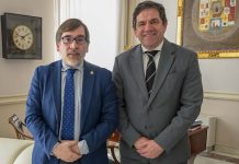 Siete cipreses para no olvidar: Ciudad Real rendirá homenaje a médicos fallecidos por la COVID el 28 de marzo