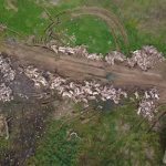 Investigada una finca de Ciudad Real por sobrepasar ampliamente los límites de caza permitidos