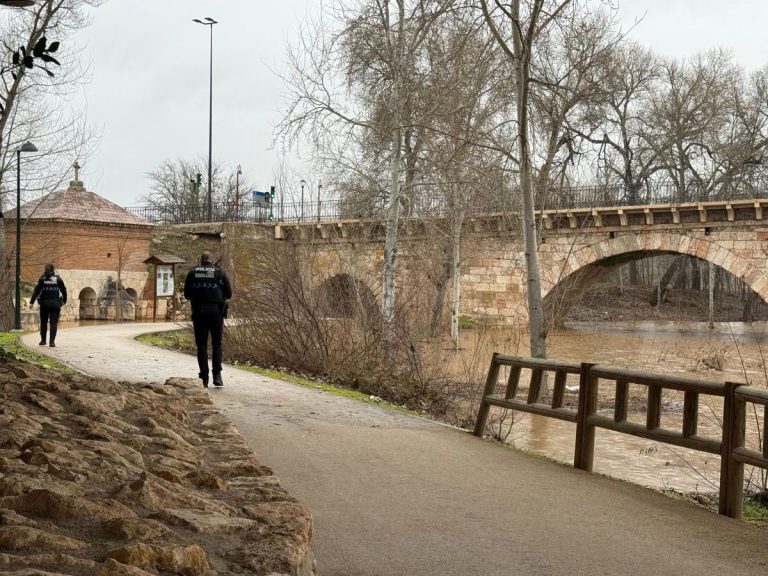 Agricultura estudiará ayudas europeas para paliar los daños del temporal en el campo de C-LM