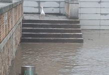 Doce estaciones del Tajo en C-LM, en nivel rojo por riesgo de inundaciones