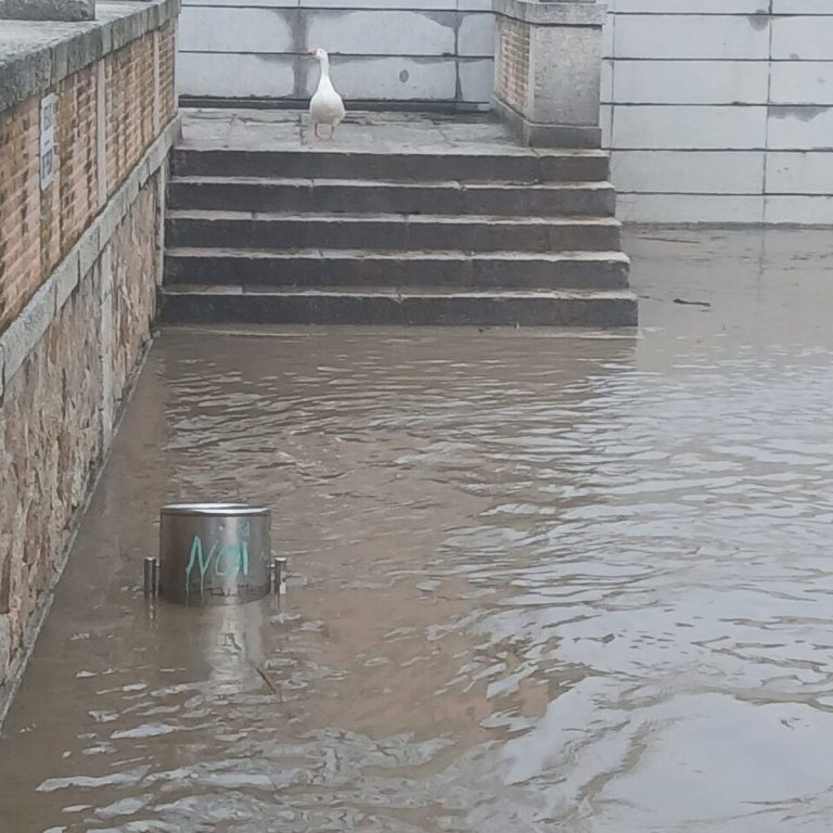 Velázquez alerta de que el Tajo puede seguir creciendo en Toledo y llama a la máxima prudencia