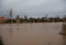 Activadas ayudas para familias y ayuntamientos de Ciudad Real tras los daños de la borrasca ‘Leonardo’