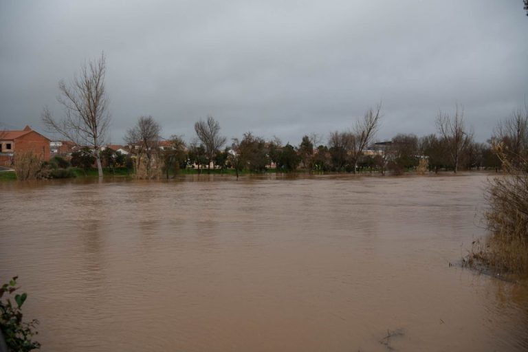 Activadas ayudas para familias y ayuntamientos de Ciudad Real tras los daños de la borrasca ‘Leonardo’