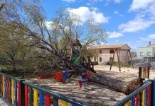 Un olmo de grandes dimensiones cae sobre un parque infantil en Castilforte sin causar heridos
