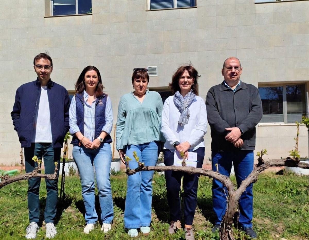 Un estudio de la UCLM identifica doce tipos de suelos vitícolas de referencia en C-LM
