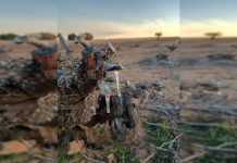 Las heladas ponen en jaque al campo en Castilla-La Mancha