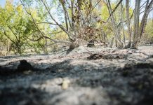 Castilla-La Mancha refuerza la prevención de incendios con 2,5 millones de inversión