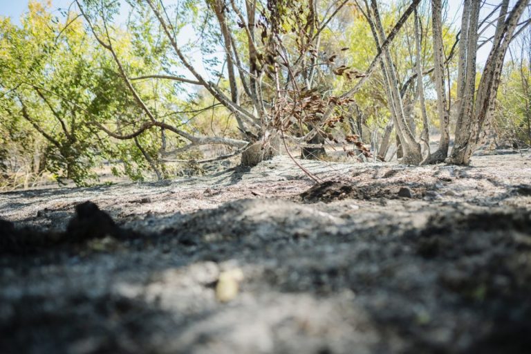 Castilla-La Mancha refuerza la prevención de incendios con 2,5 millones de inversión