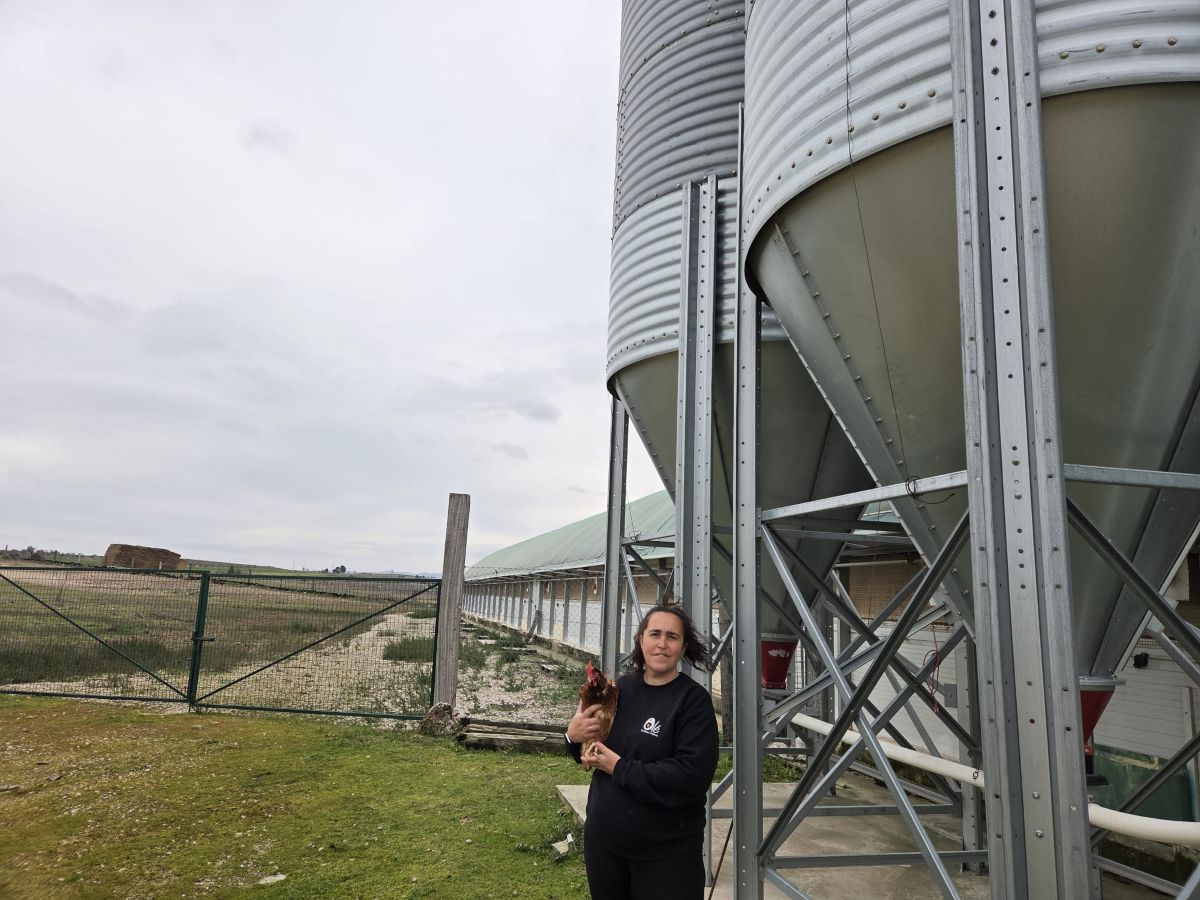 "Olé tus huevos camperos", la singular marca que vende desde un pueblo de Guadalajara