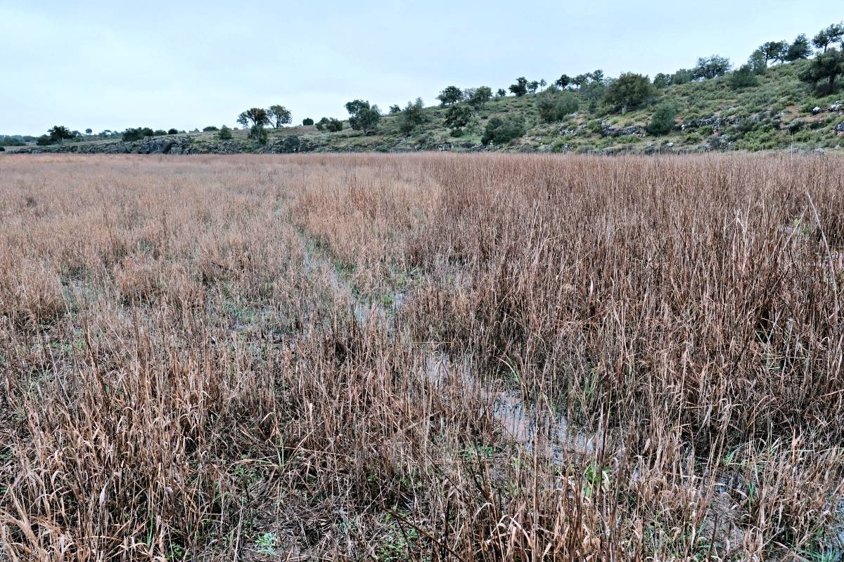 Las Lagunas de Ruidera experimentan una “evolución hídrica bestial” tras las lluvias