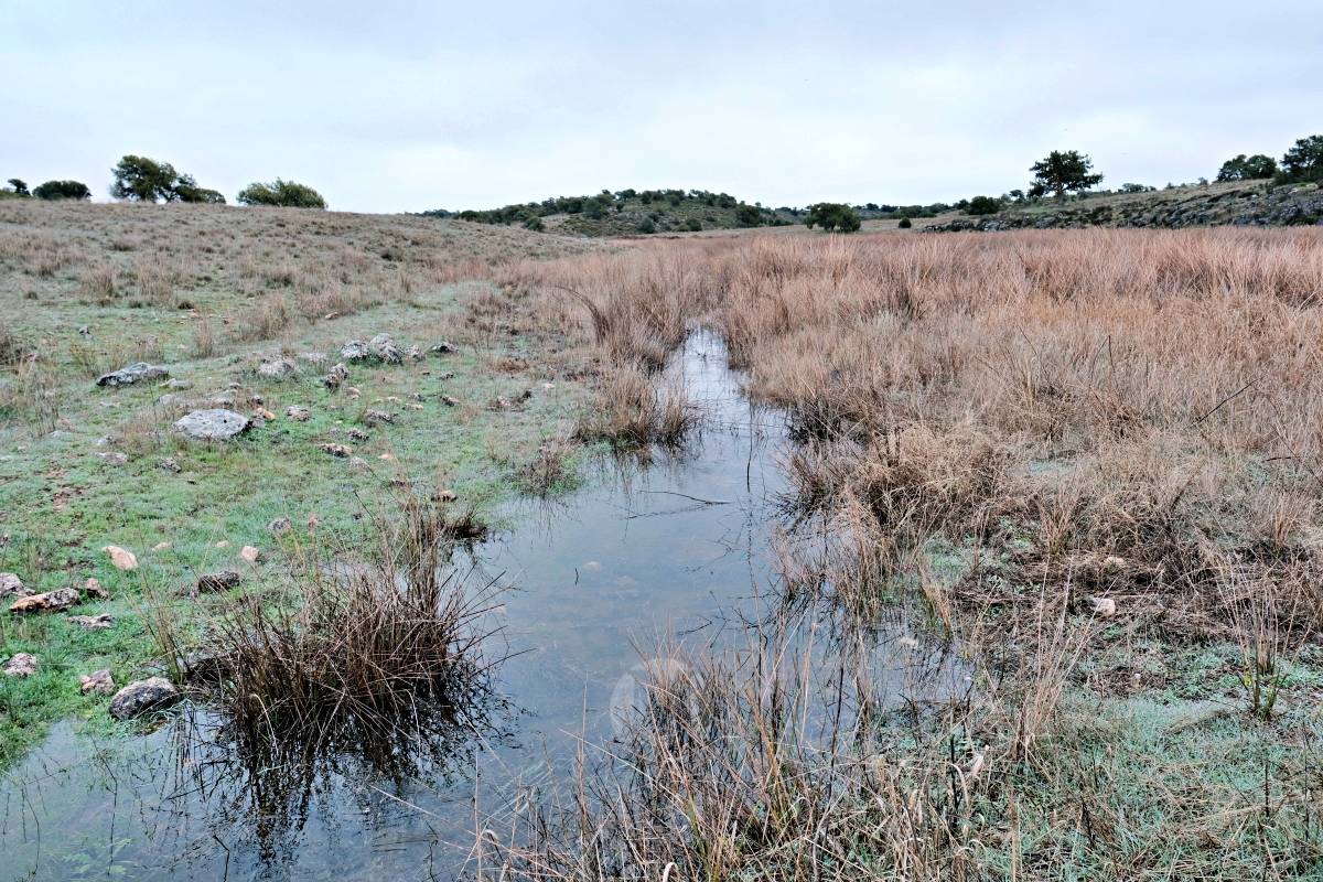 Las Lagunas de Ruidera experimentan una “evolución hídrica bestial” tras las lluvias