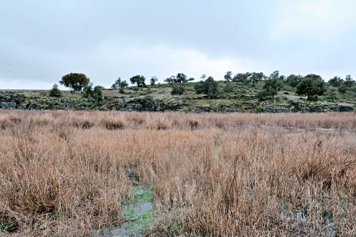 Las Lagunas de Ruidera experimentan una “evolución hídrica bestial” tras las lluvias