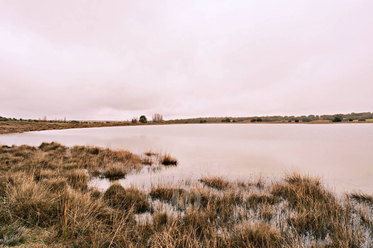 Las Lagunas de Ruidera experimentan una “evolución hídrica bestial” tras las lluvias