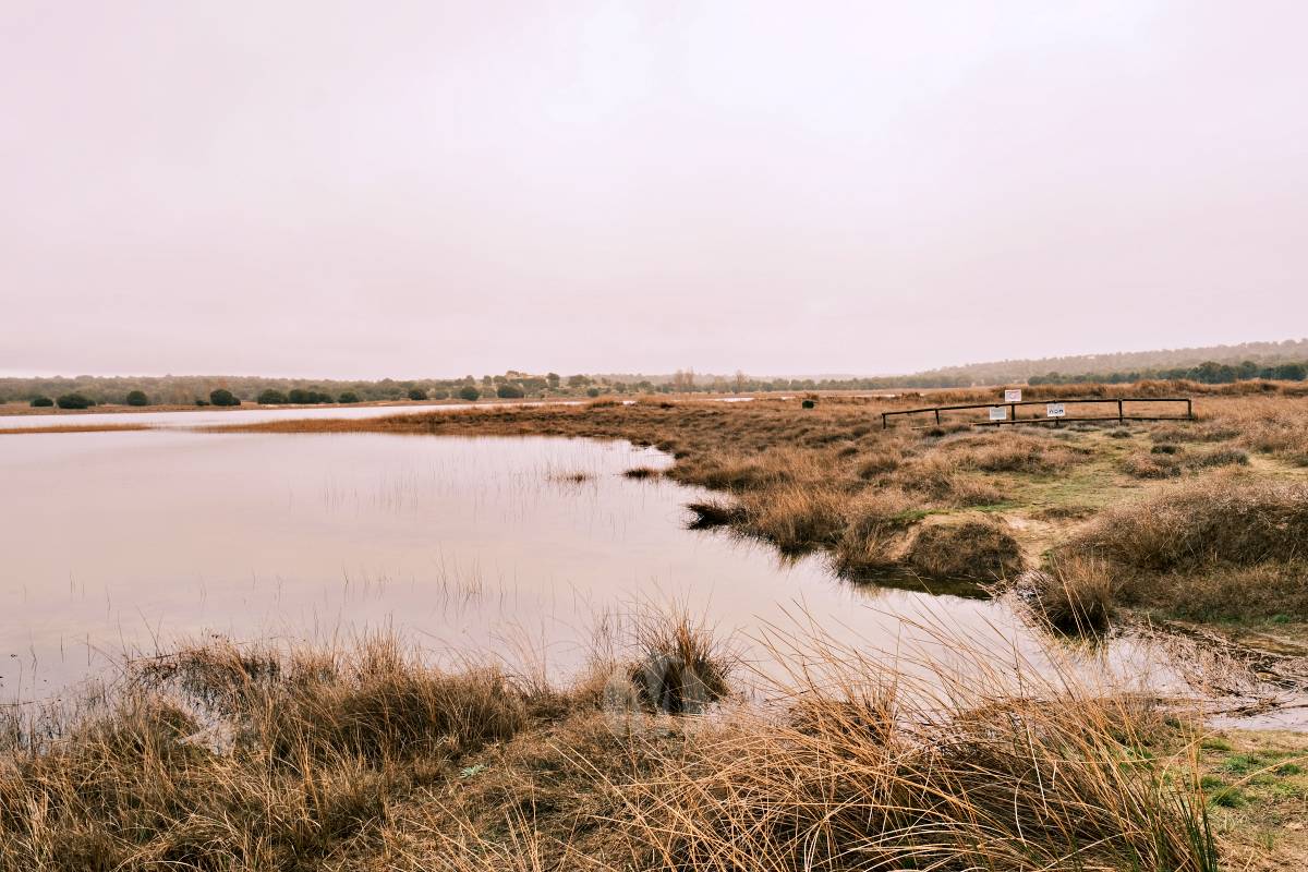 Las Lagunas de Ruidera experimentan una “evolución hídrica bestial” tras las lluvias
