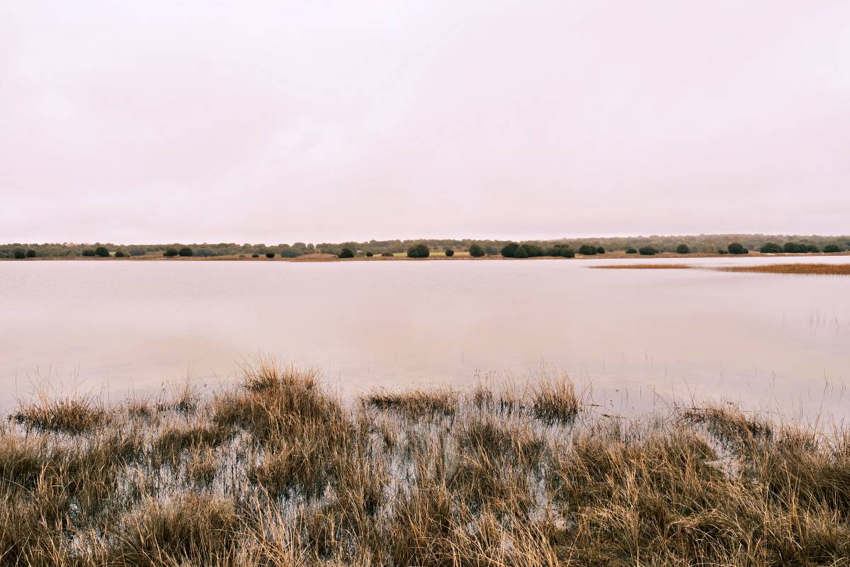 Las Lagunas de Ruidera experimentan una “evolución hídrica bestial” tras las lluvias
