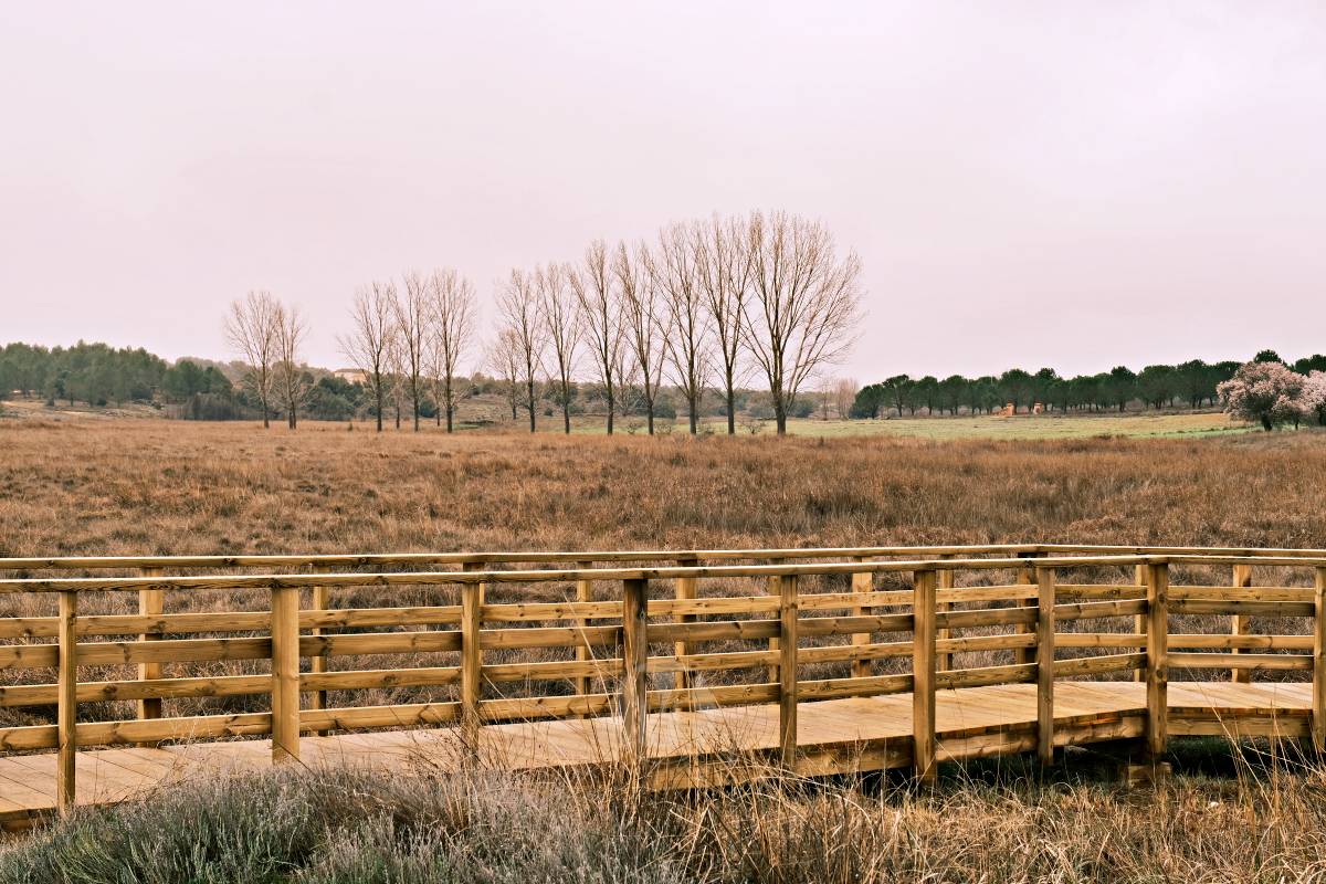 Las Lagunas de Ruidera experimentan una “evolución hídrica bestial” tras las lluvias