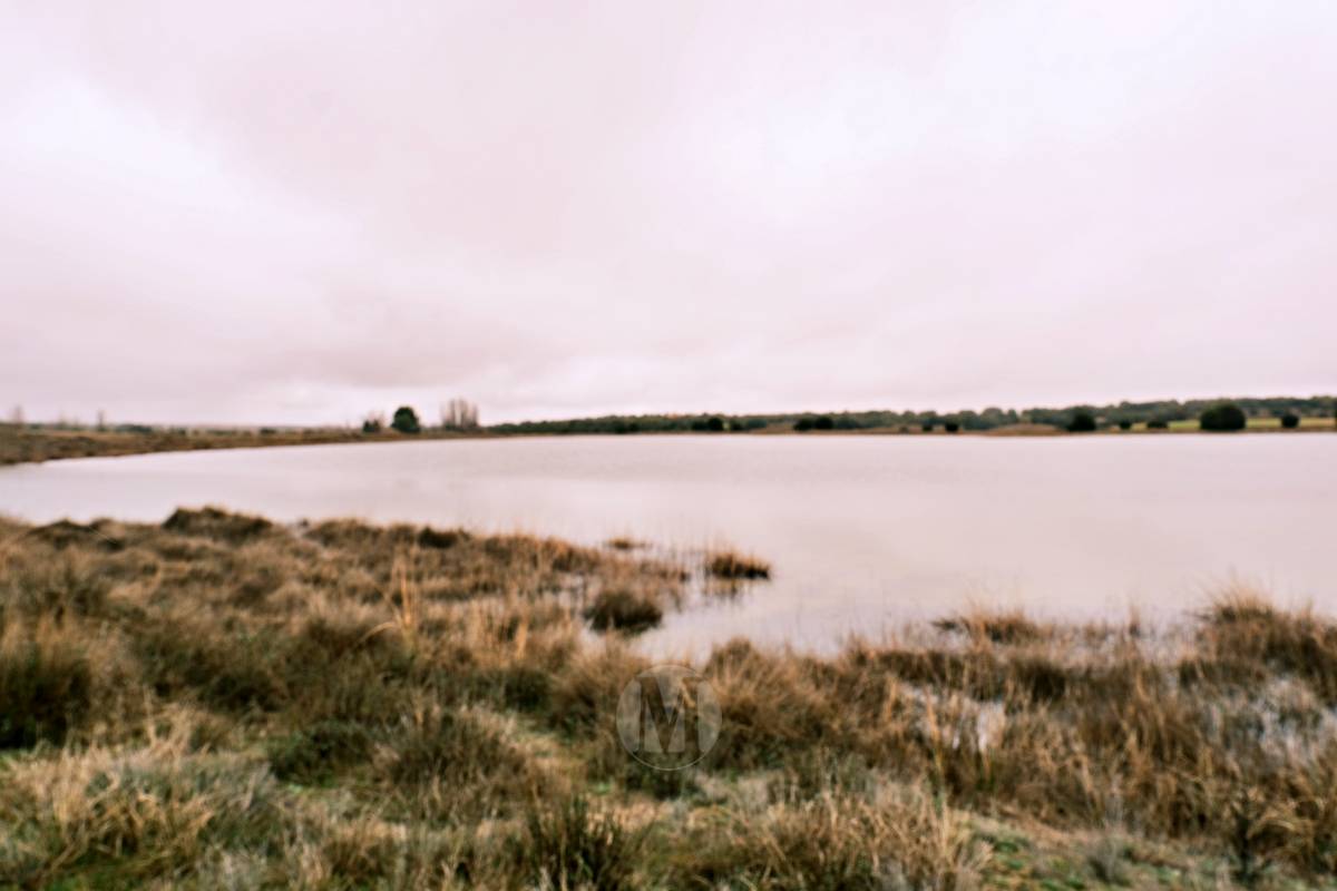 Las Lagunas de Ruidera experimentan una “evolución hídrica bestial” tras las lluvias