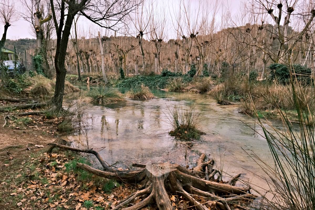 Las Lagunas de Ruidera experimentan una “evolución hídrica bestial” tras las lluvias