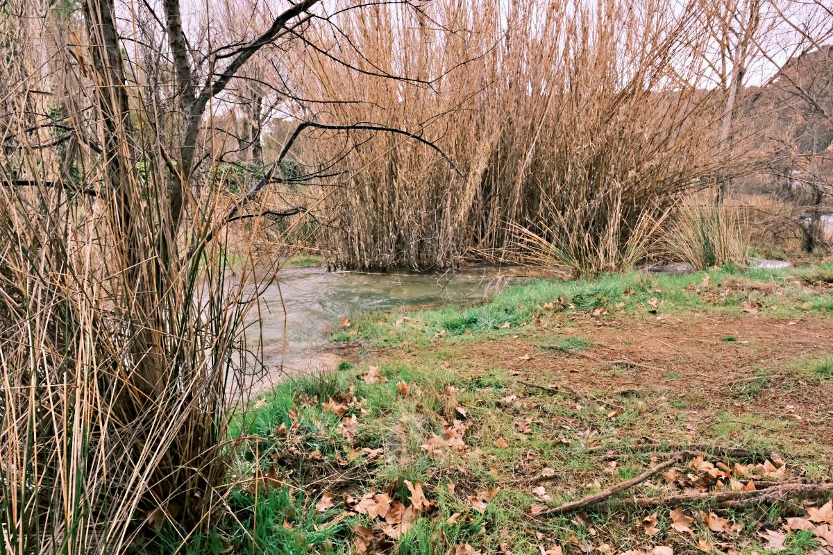 Las Lagunas de Ruidera experimentan una “evolución hídrica bestial” tras las lluvias