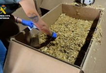 La incautación de 1.200 kilos de picadura de tabaco en Las Pedroñeras termina con una red desmantelada