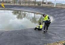 Rescate en Fuensalida: la Guardia Civil salva a un hombre y sus dos perros atrapados en una alberca