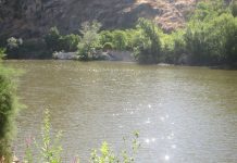 La Cátedra del Tajo advierte de retrasos en la recuperación del río