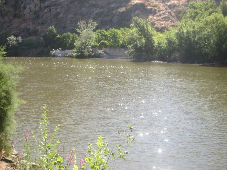 La Cátedra del Tajo advierte de retrasos en la recuperación del río