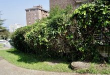 Fallece un aficionado del Racing de Santander tras una agresión antes del partido contra el Albacete