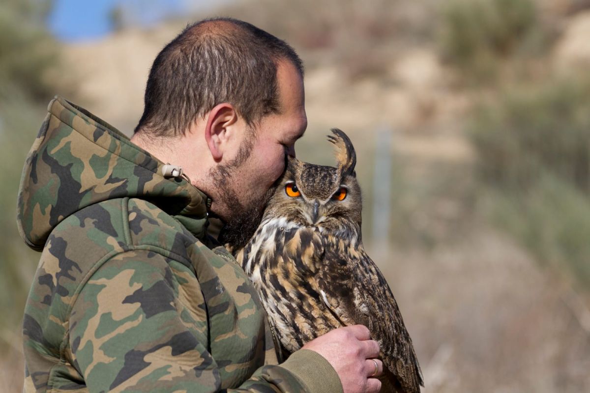 Adentrarse en la cetrería: la experiencia de volar a un águila en un pueblo de Guadalajara