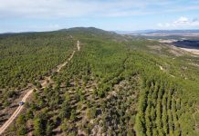 Ecologistas en Acción rechazan el proyecto de ToroVerde por su impacto ambiental y consumo de agua