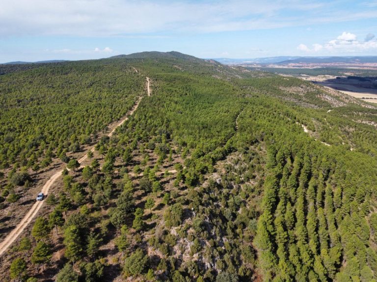 Ecologistas en Acción rechazan el proyecto de ToroVerde por su impacto ambiental y consumo de agua