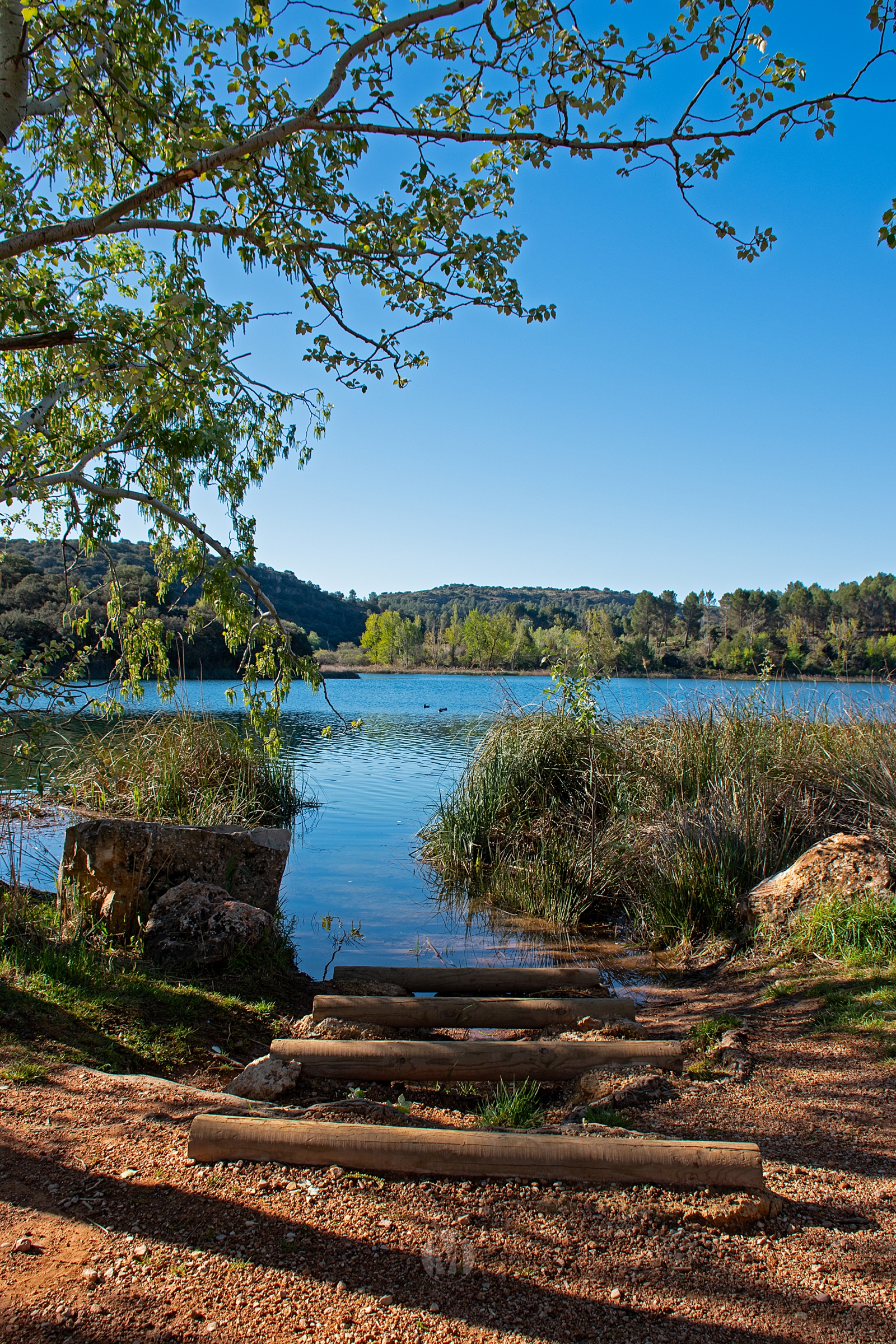 Ruidera sin agobios: el paraíso natural que se disfruta en calma entre semana