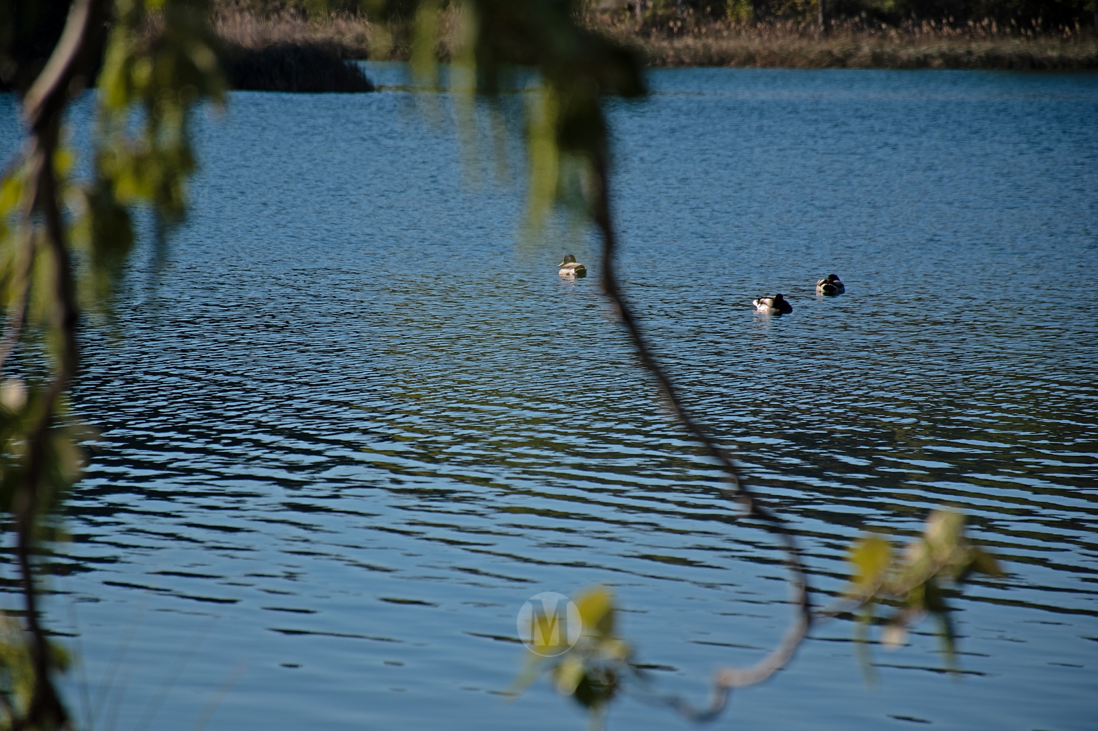 Ruidera sin agobios: el paraíso natural que se disfruta en calma entre semana