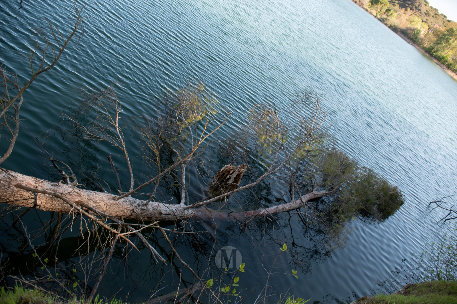 Ruidera sin agobios: el paraíso natural que se disfruta en calma entre semana