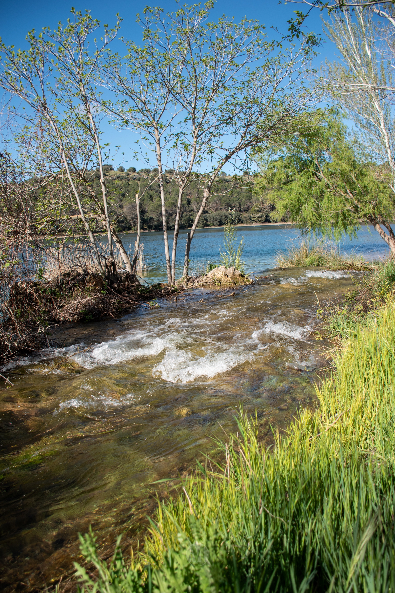 Ruidera sin agobios: el paraíso natural que se disfruta en calma entre semana