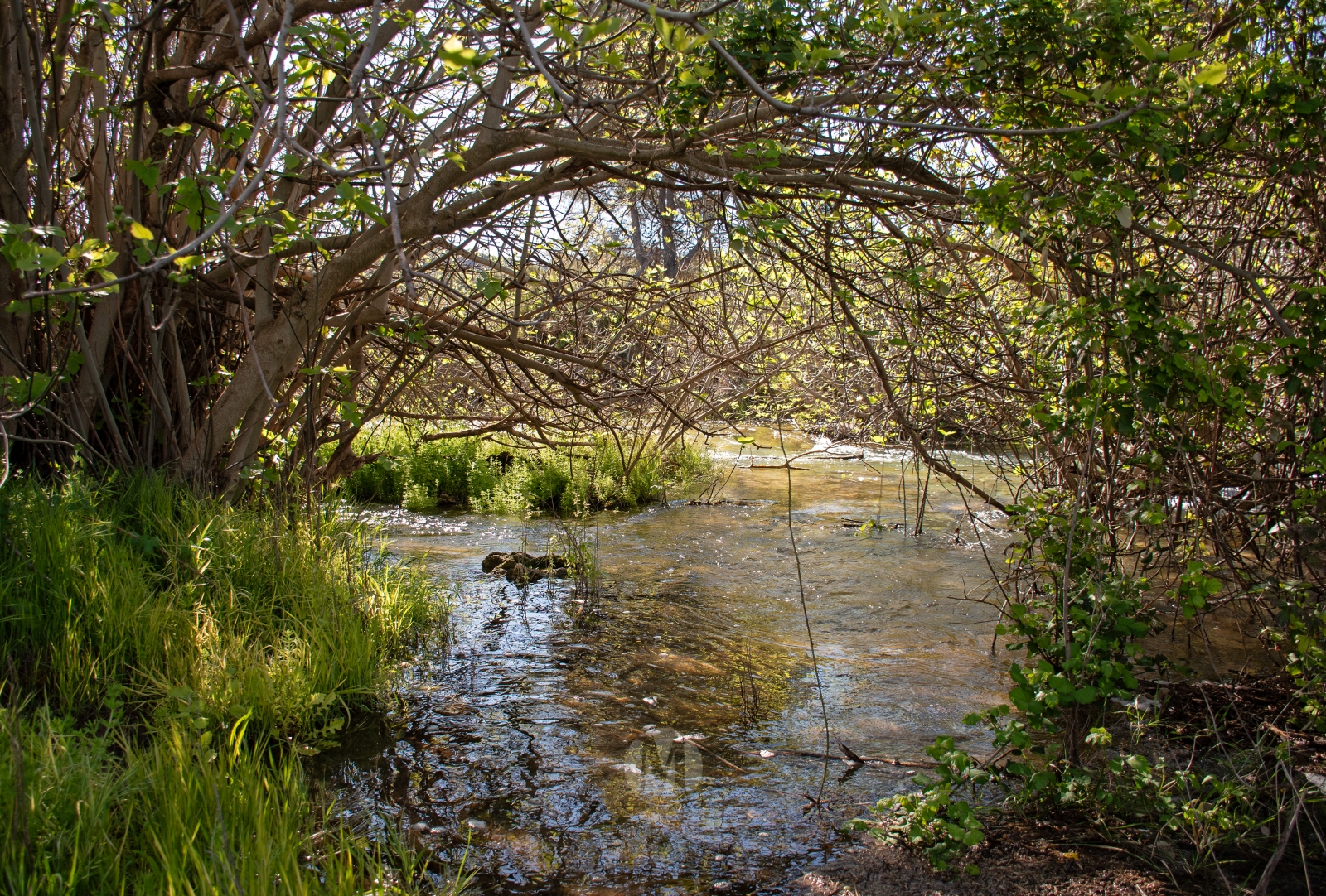 Ruidera sin agobios: el paraíso natural que se disfruta en calma entre semana