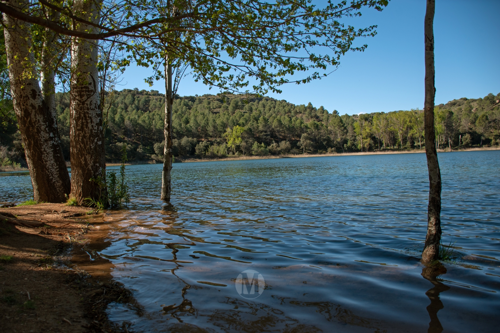 Ruidera sin agobios: el paraíso natural que se disfruta en calma entre semana