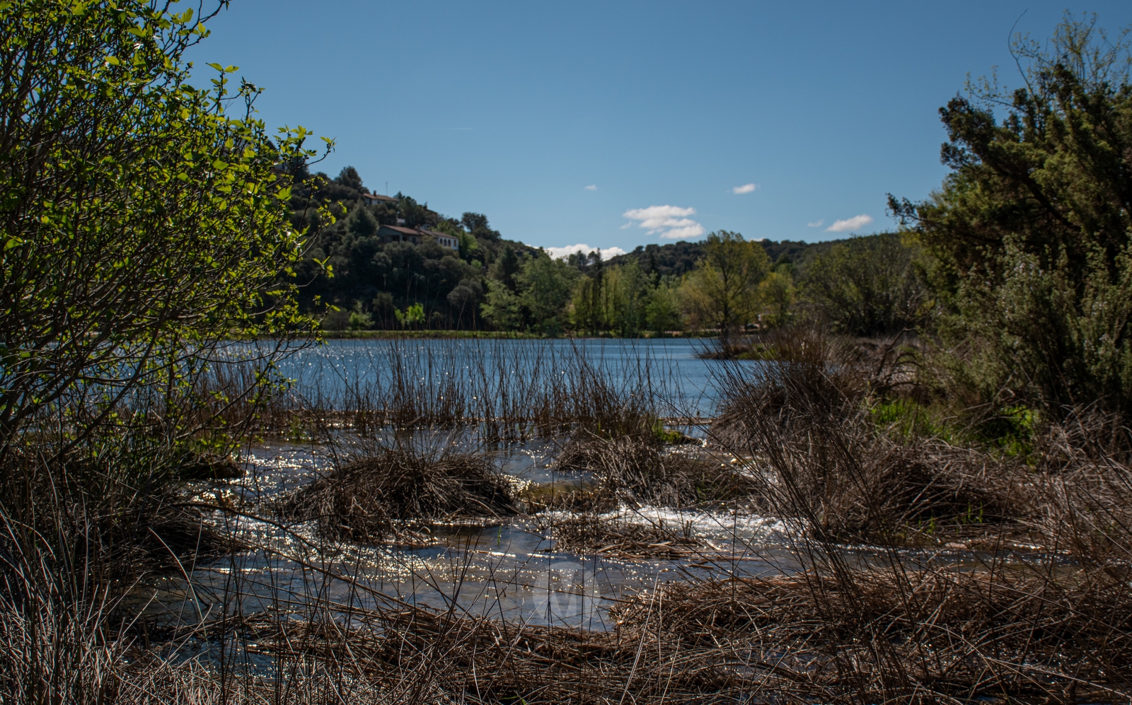 Ruidera sin agobios: el paraíso natural que se disfruta en calma entre semana