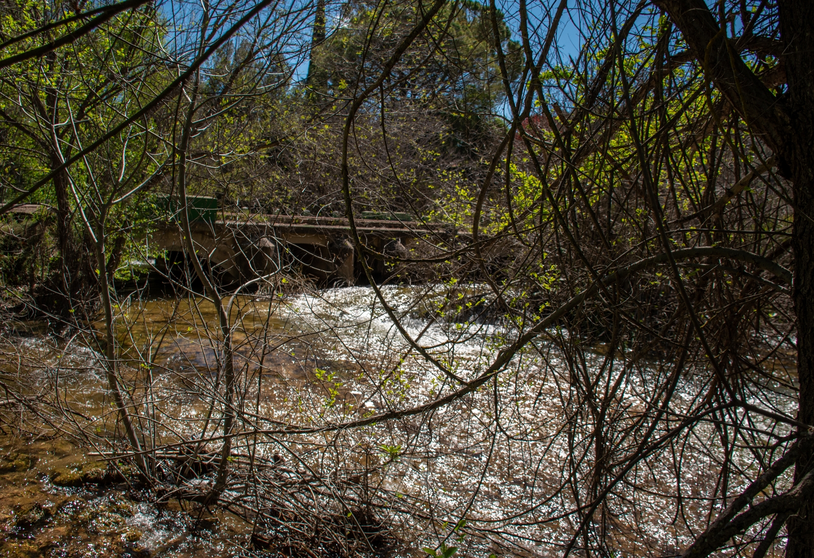Ruidera sin agobios: el paraíso natural que se disfruta en calma entre semana